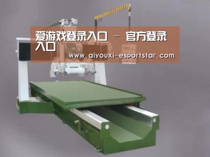 产品名称十