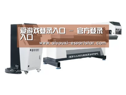 案例展示四