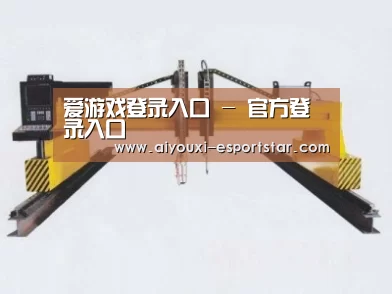产品名称十七