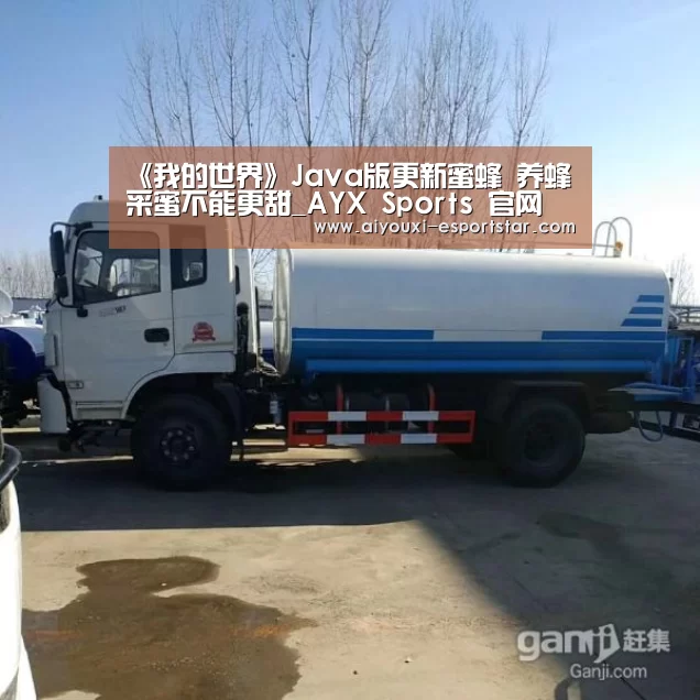 《我的世界》Java版更新蜜蜂 养蜂采蜜不能更甜_AYX Sports 官网(图1) 爱游戏登录入口