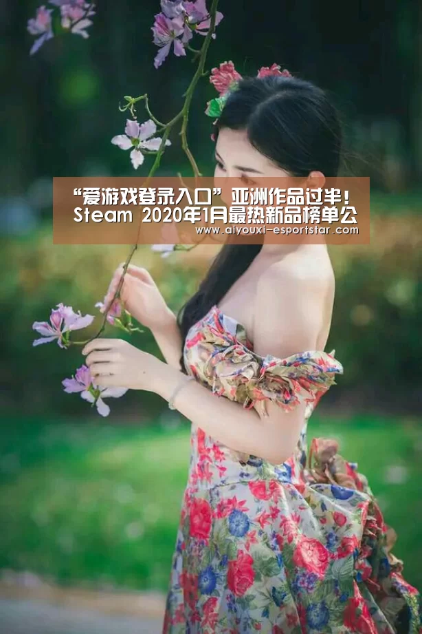 “爱游戏登录入口”亚洲作品过半! Steam 2020年1月最热新品榜单公开(图3) 爱游戏APP下载
